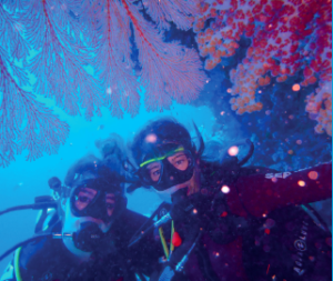 diving in siaba kecil komodo