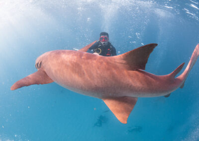 Maldives 1