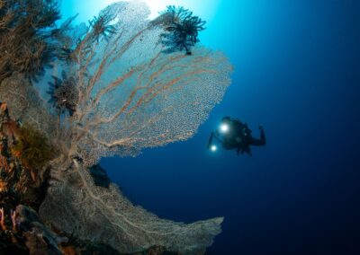 WhatsApp Image 2025-08-09 at 1.23.05 PM