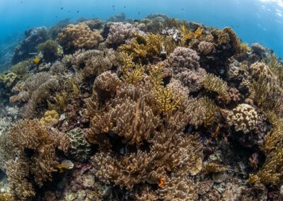 WhatsApp Image 2025-08-09 at 1.23.22 PM 1