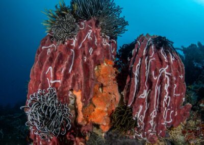 WhatsApp Image 2025-08-09 at 1.23.22 PM